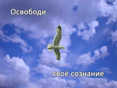 Искусственные воздействия